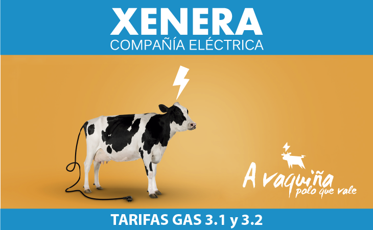 Gas. Tarifa 3.1 y 3.2 de XENERA Compañía Eléctrica